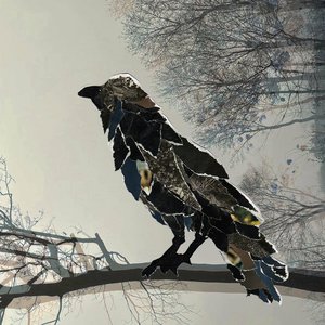 The Crow