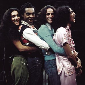 Gal Costa, Gilberto Gil, Os Mutantes, Caetano Veloso 的头像