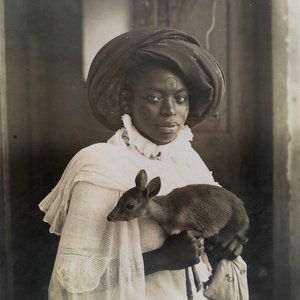 Avatar for Deejay Deer