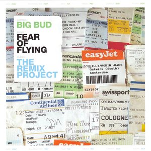 Avatar for Fear of Flying the Remix Project