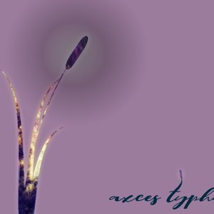 Typha