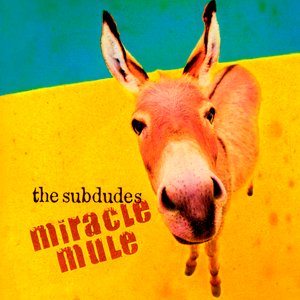 Miracle Mule