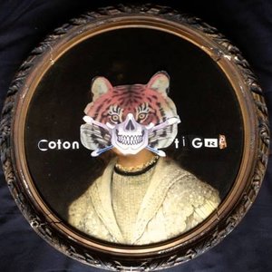 Coton Tigre のアバター