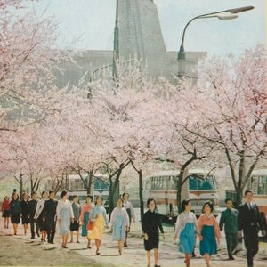 All Lands and Customs Are Ephemeral