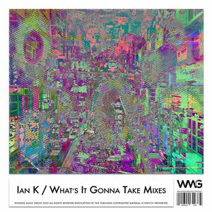 What's It Gonna Take Mixes