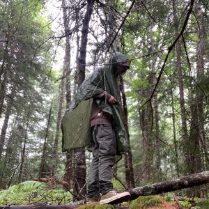 Avatar for cassettone