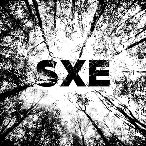 Sxe