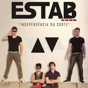 Estab 的头像