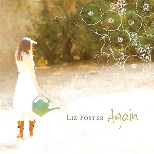 “Liz Foster”的封面