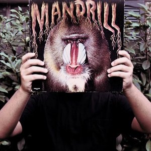 DJ Primate 的头像