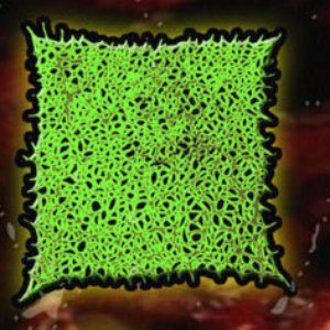 PXMXNXS のアバター