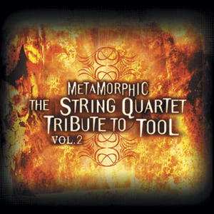The Section Quartet - The String Quartet Tribute To Tool, Volume 2 Metamorphic - Zortam Music