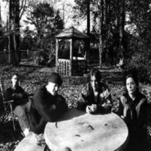 The Sonora Pine photo provided by Last.fm