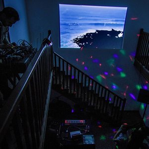Virtual Forest 的头像