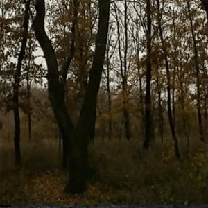November