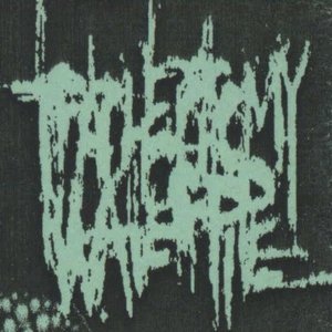 Tracheotomy Waterpipe 的头像
