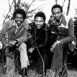 Avatar for The Pioneers