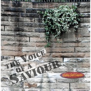 The Voice of a Saviour