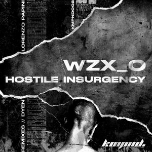 HOSTILE INSURGENCY