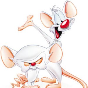 pinky & brain 的头像