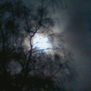 Nebel und Schatten