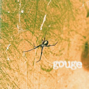 gouge