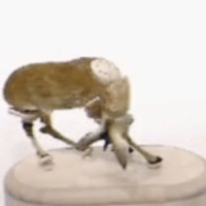 antlers