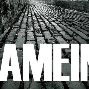 aMEIN 的头像