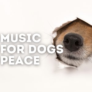 Awatar dla Music For Dogs Peace