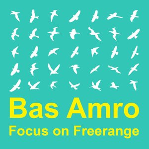 Focus On: Freerange  Bas Amro