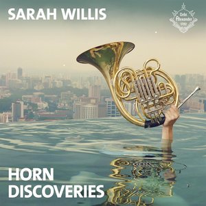 Horn Discoveries