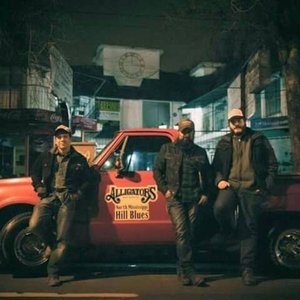 Alligator´s Sons 的头像