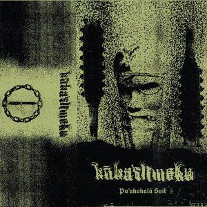 Pu'ukohalā Soil