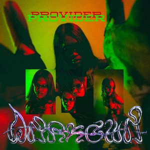 Provider