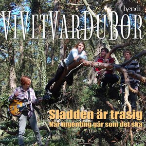 ViVetVarDuBor 的头像
