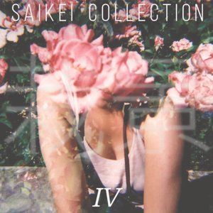 Saikei Collection Vol 4