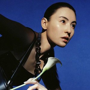 張柏芝 için avatar