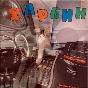 Каракули