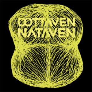 Nataven