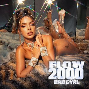 Flow 2000 - Single