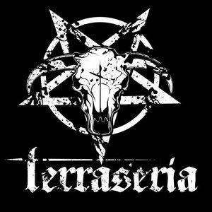 Terraseria のアバター