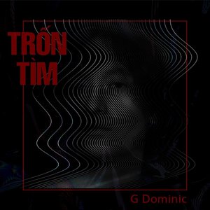 TRỐN TÌM - Single