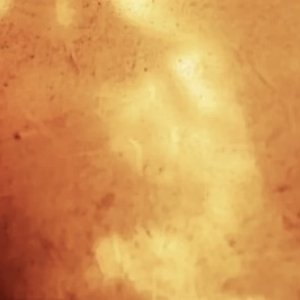 Shine Your Light (feat. Naja P & Maazes) - Single