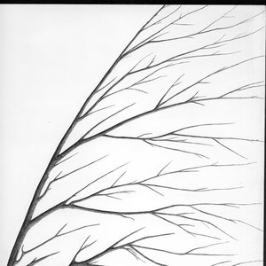 Avatar for Ancient Ardent