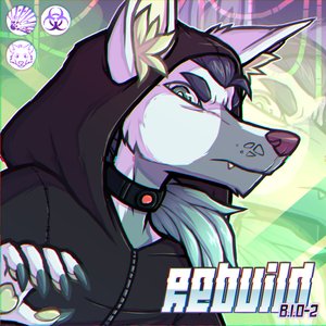 Rebuild