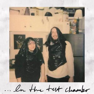 ...In the Test Chamber - Single