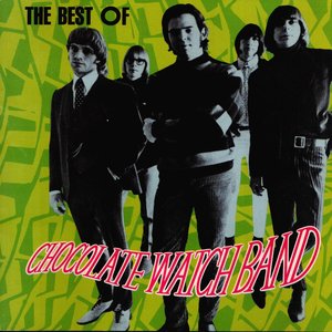 The Best Of Chocolate Watch Band