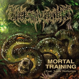 Mortal Training (feat. Jason Netherton) - Single