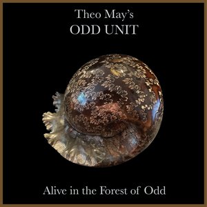 “Alive in the Forest of Odd”的封面