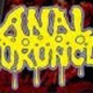 Anal Furuncle 的头像